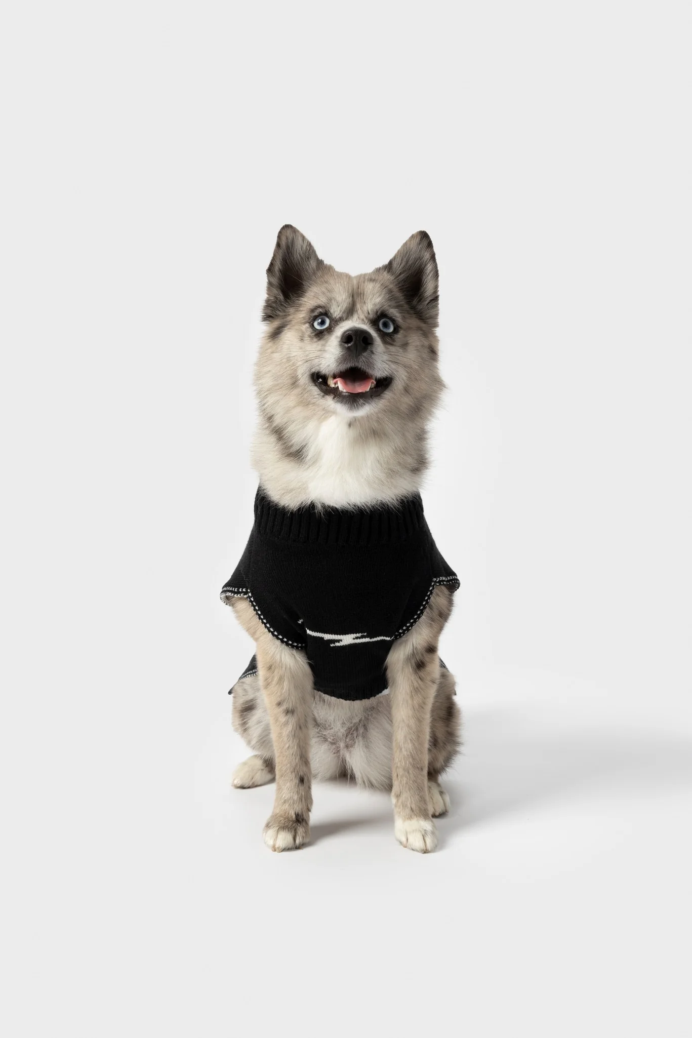 Dog Sweater - Black - Image 5
