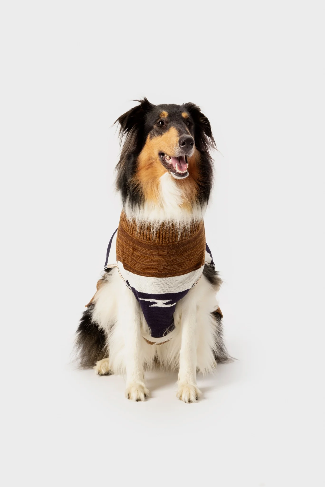 Dog Sweater - Brand Stripe / Tan - Image 5