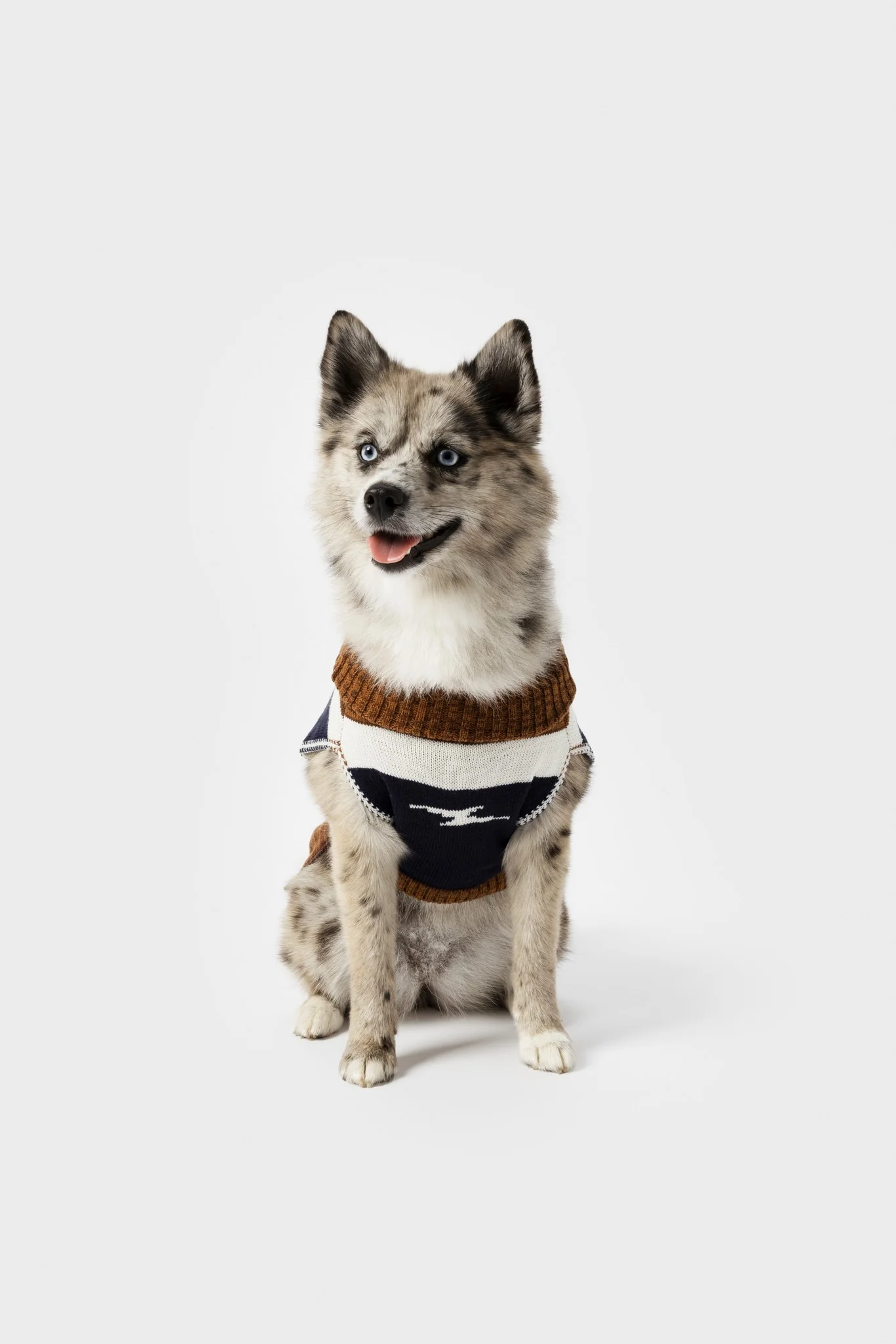 Dog Sweater - Brand Stripe / Tan - Image 6