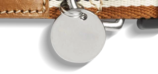 Nylon Dog Collar - Brand Stripe - Image 4